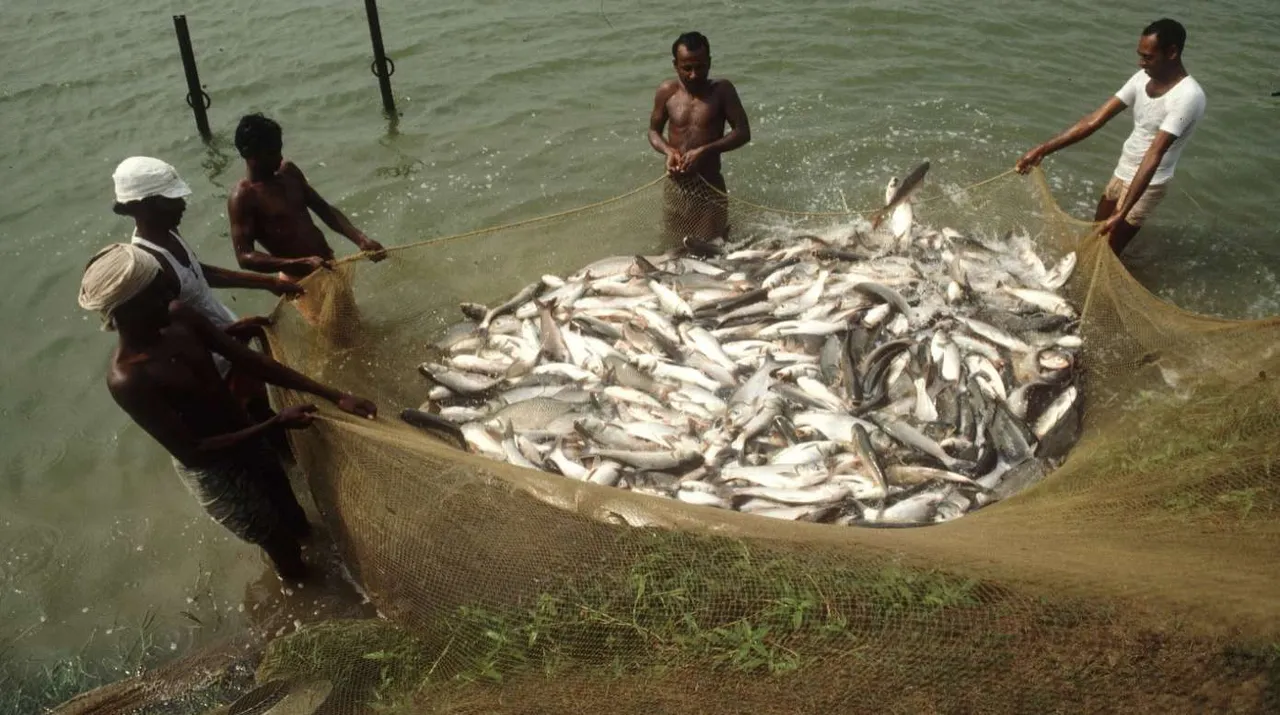 Uttar Pradesh becomes top state in Inland Fisheries category: state official