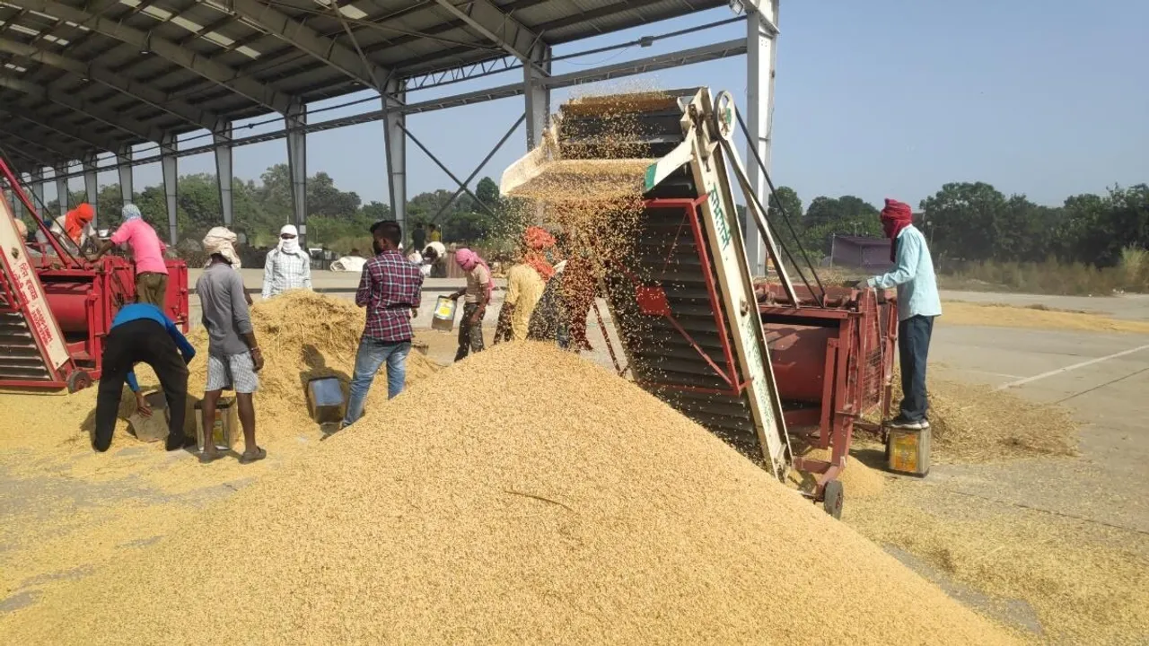Govt begins kharif paddy procurement; purchases 12.21 lakh tonne so far