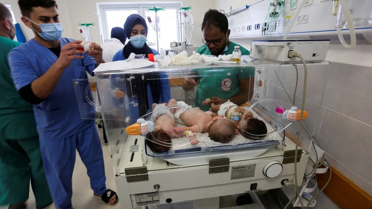 Babies from Al-Shifa hospital arrive in Egypt