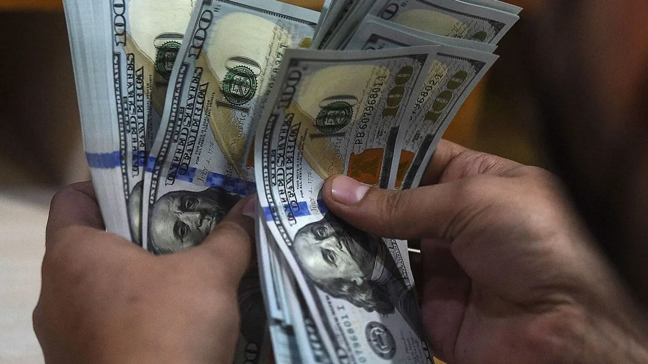 FPI US Dollar Foreign Currency