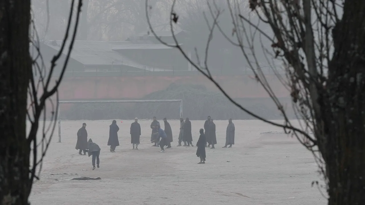 Young men play cricket at a ground covered with frost during a cold winter morning as intense cold wave grips Kashmir valley, in Srinagar