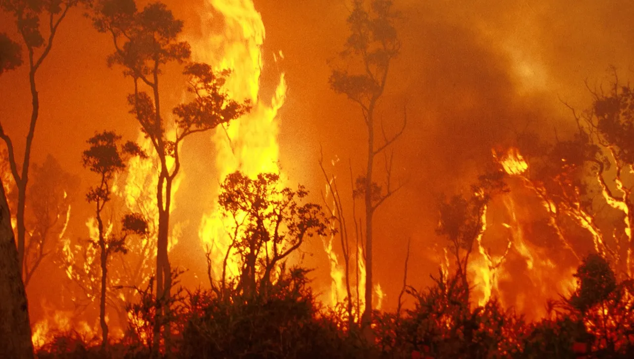 droughts, floods and bushfires 
