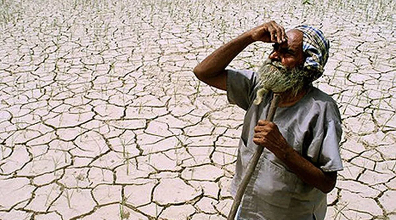 Possible El Nino impact: Centre asks states to ensure enough seeds for kharif sowing