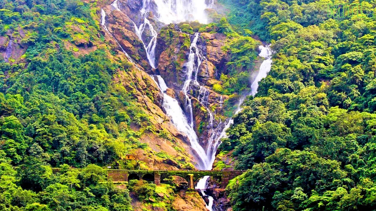 Goa: Tourists stopped from visiting Dudhsagar waterfall; Railways urges them not to walk on tracks