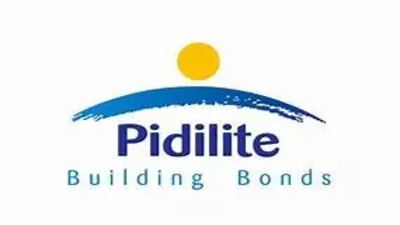 Pidilite Industries Q4 PAT rises to Rs 304 cr