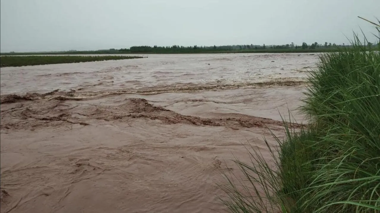 Punjab floods ravi river water level.jpg