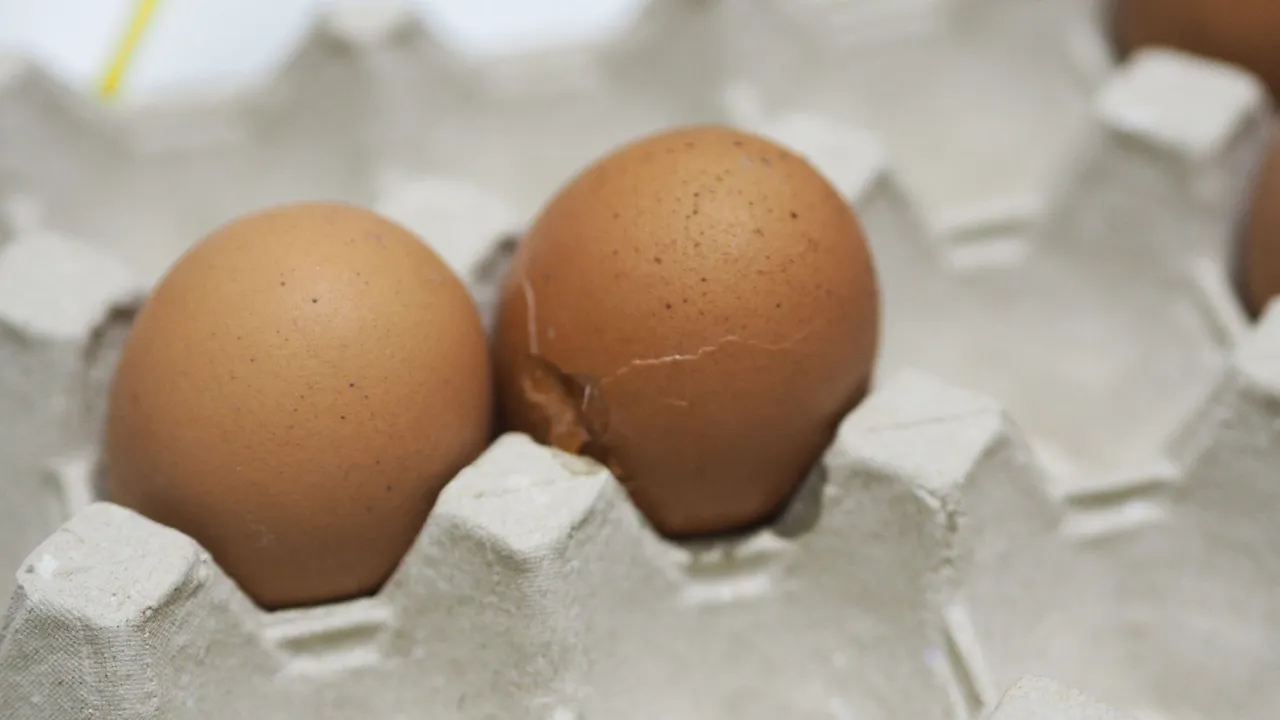 Egg shortage in the United Kingdom