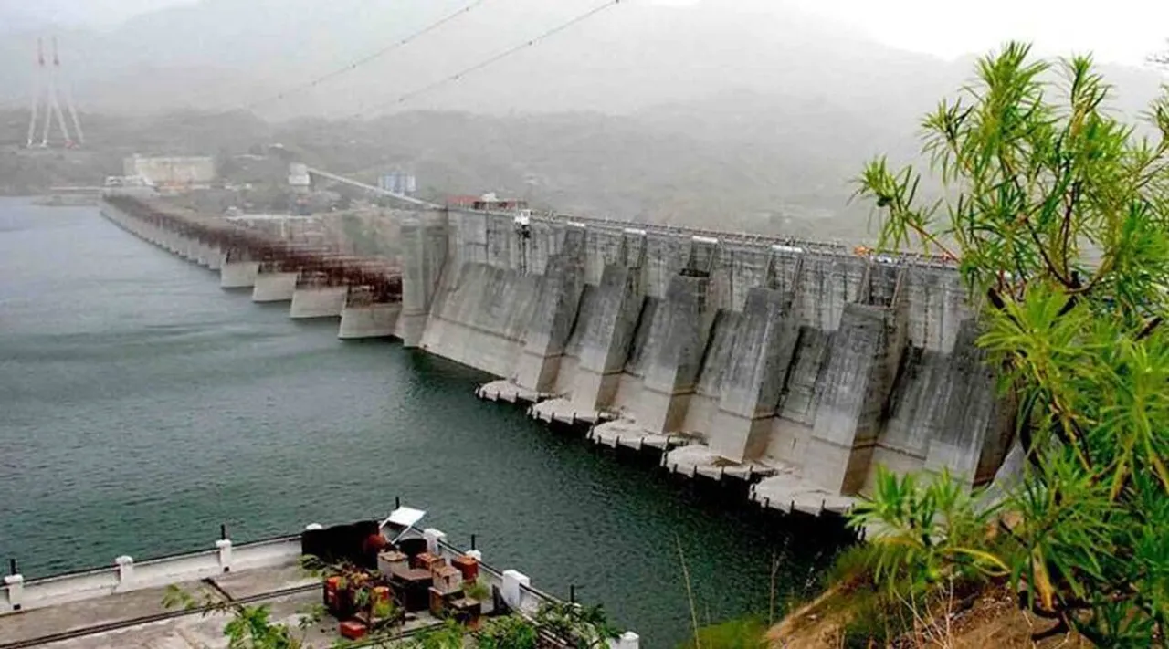 Bhakra Beas Management Board to release 22,300 cusec of water from Ponga Dam