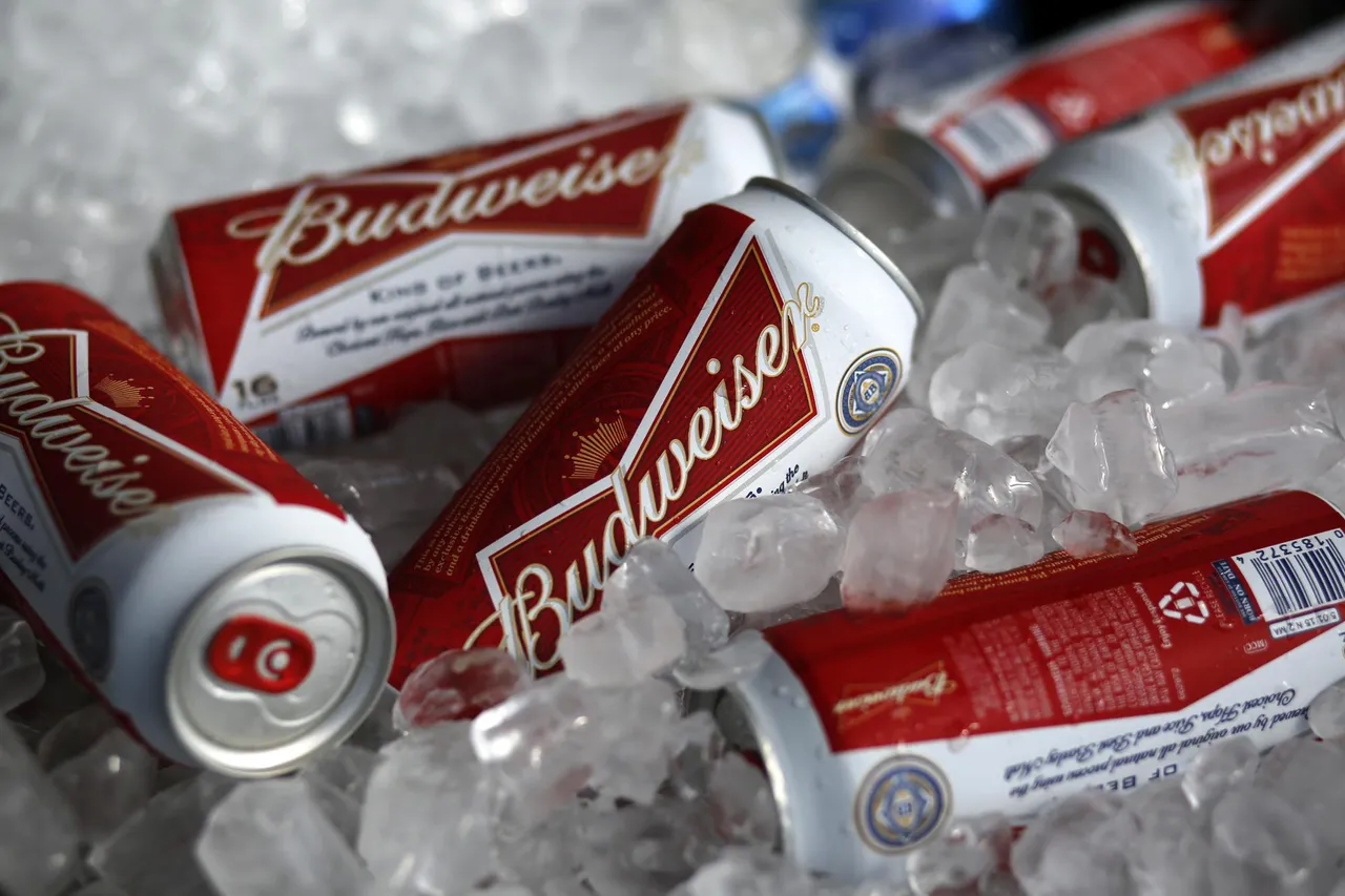 Budweiser Beer World Cup