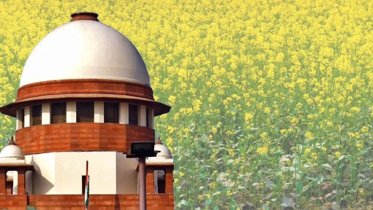 GM crops GM Mustard Supreme Court
