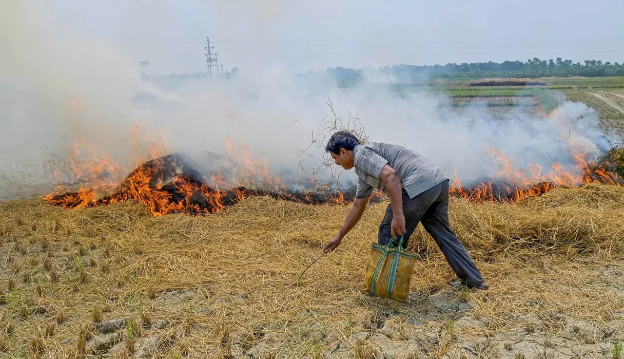 A farmer burns crop stubble in a field, on World Environment Day