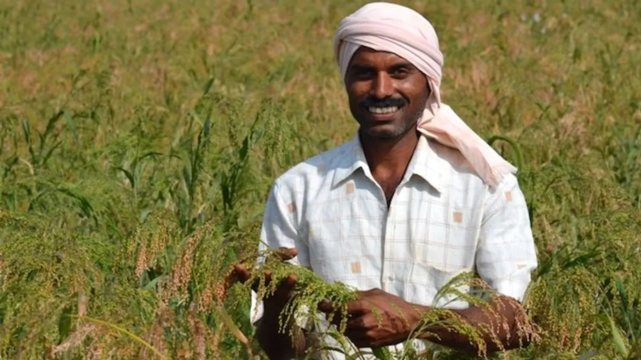 Majority of millet farmers  in Uttarakhand see 10-20% rise in income, says study