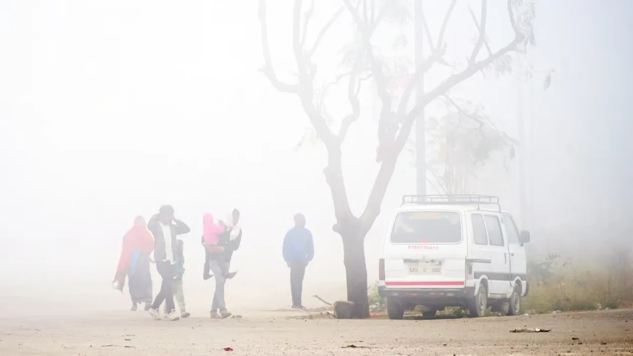 Winter-and-fog-in-sikar.-Rajasthan