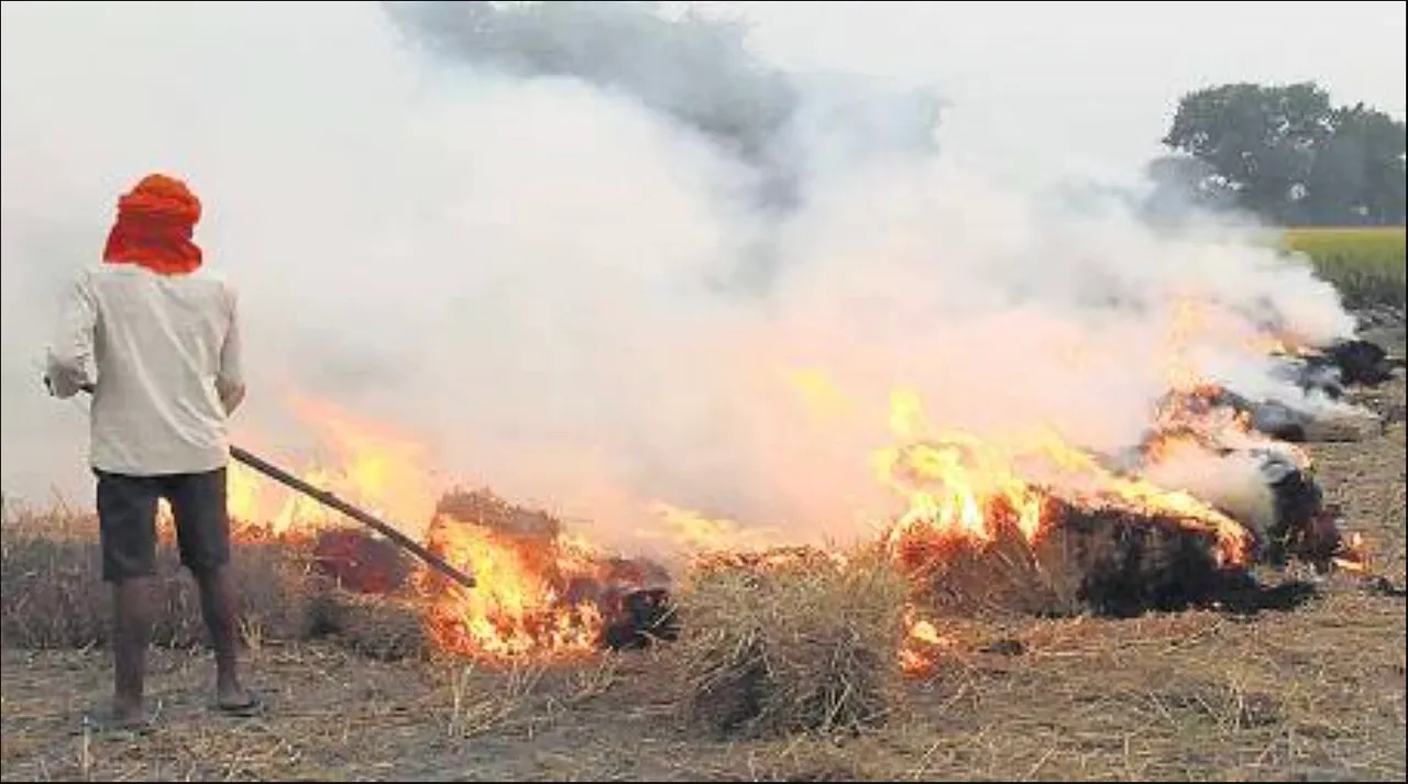 Stubble burning