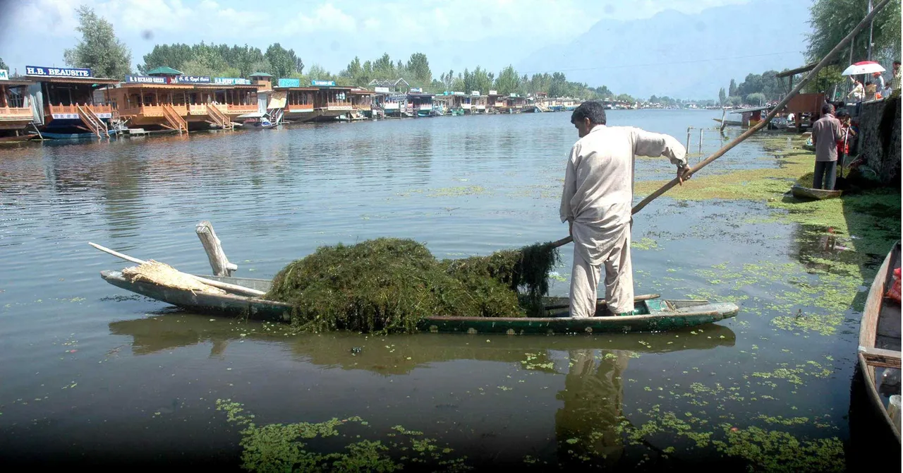 Authorities launch pilot project for converting Dal Lake weed into fertiliser