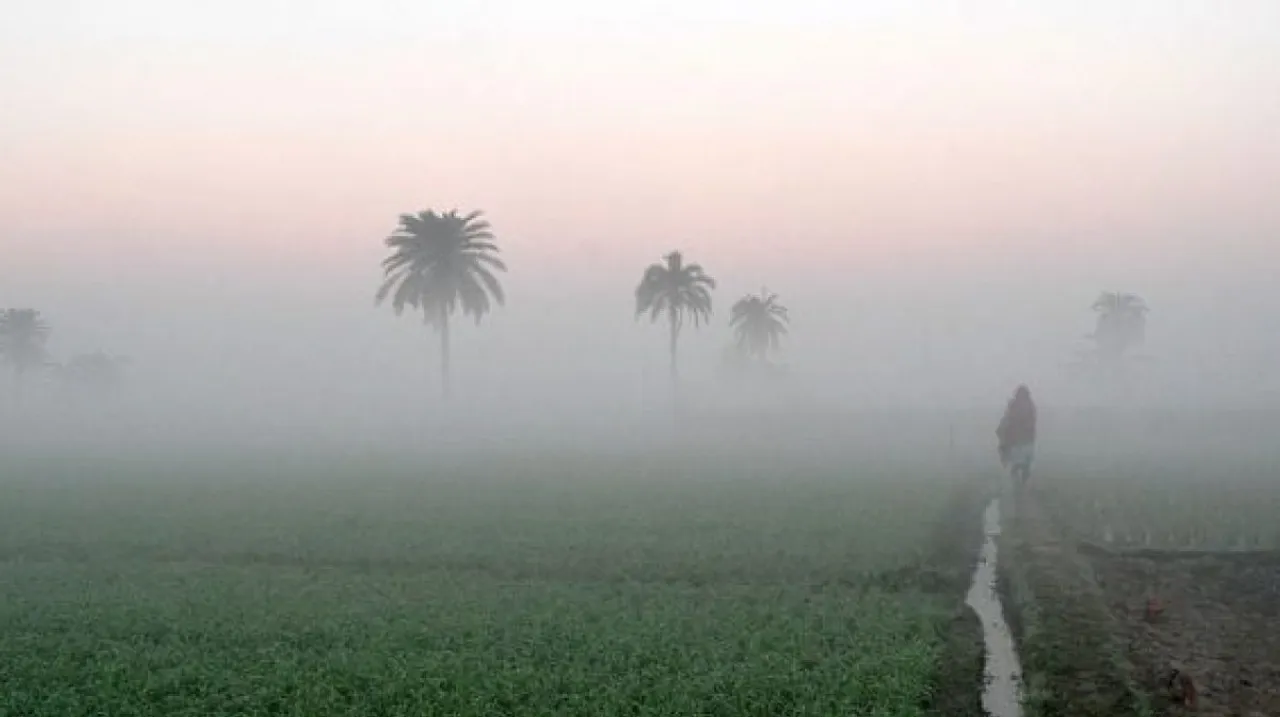 Odisha winter fog.jpg