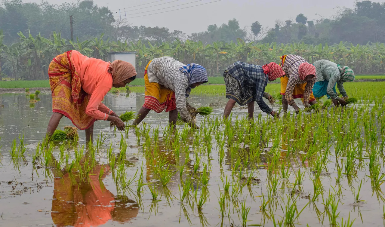 Budget 2023-24 Agriculture