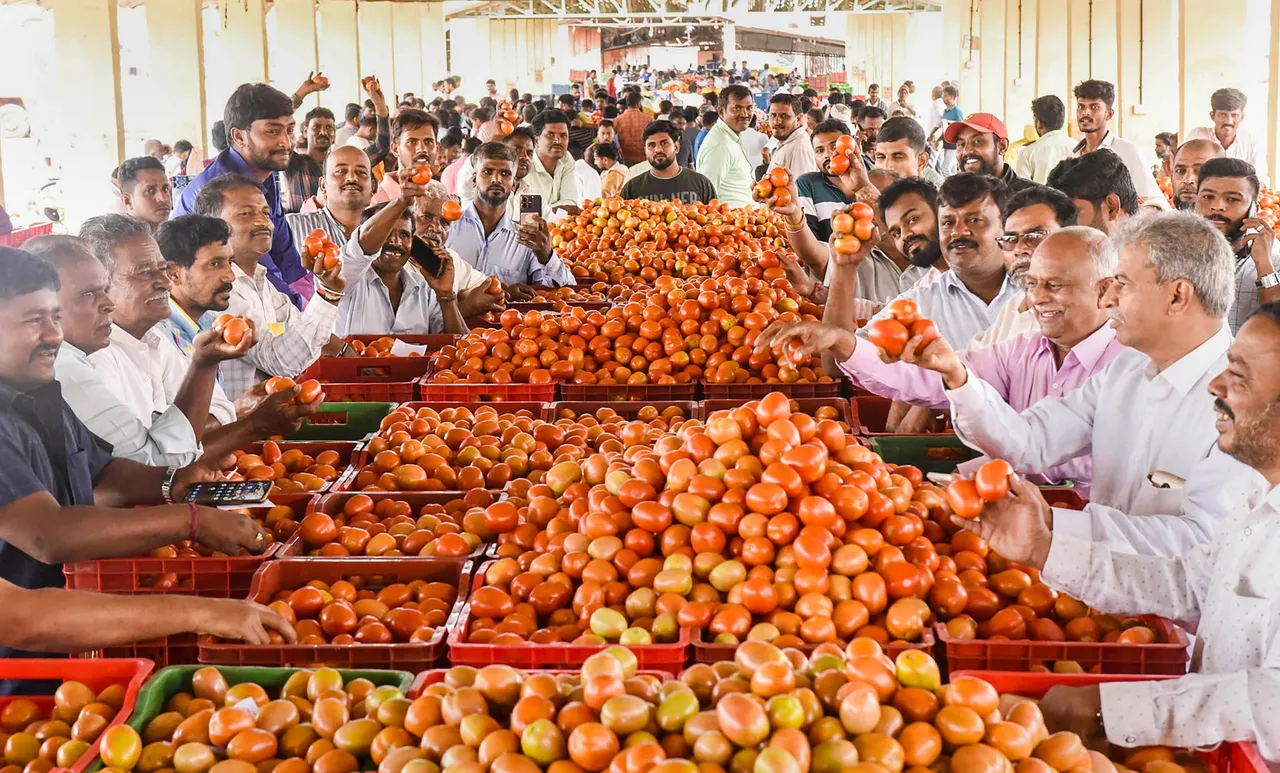 Farmers show tomatoes during a bid at APMC market as tomato prices are soaring across the nation, in Chikkamagaluru