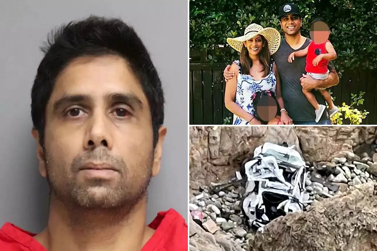 Indian-origin doctor who drove family off cliff in US barred from practising medicine