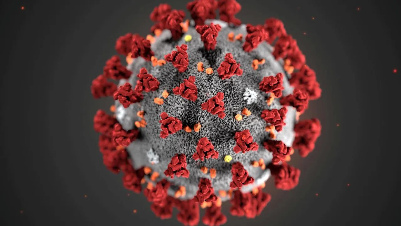 JN.1 Covid variant has increased transmissibility and immune escape: Lancet study