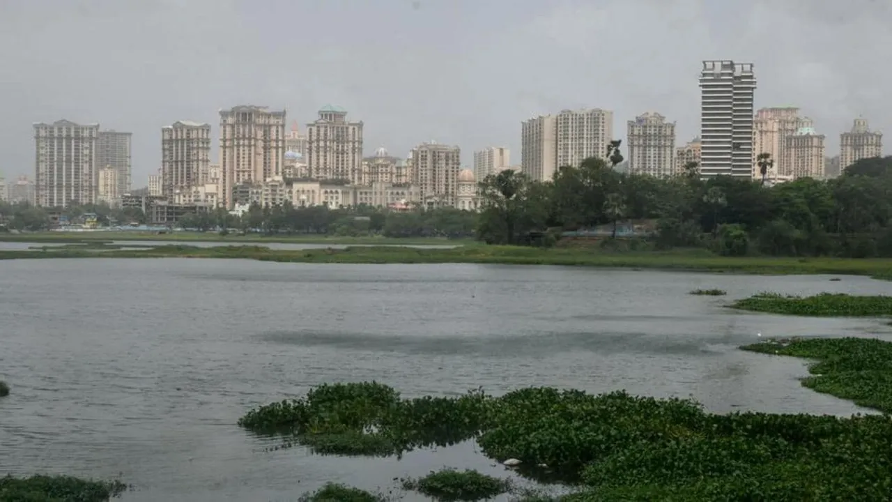 5,895 metric tons of water hyacinth removed from Mumbai's Powai lake