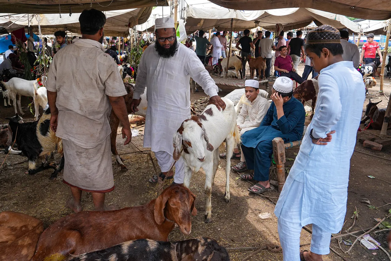 Goat sellers wait for customers ahead of the 'Eid-al-Adha' festival, near Jama Masjid in New Delhi