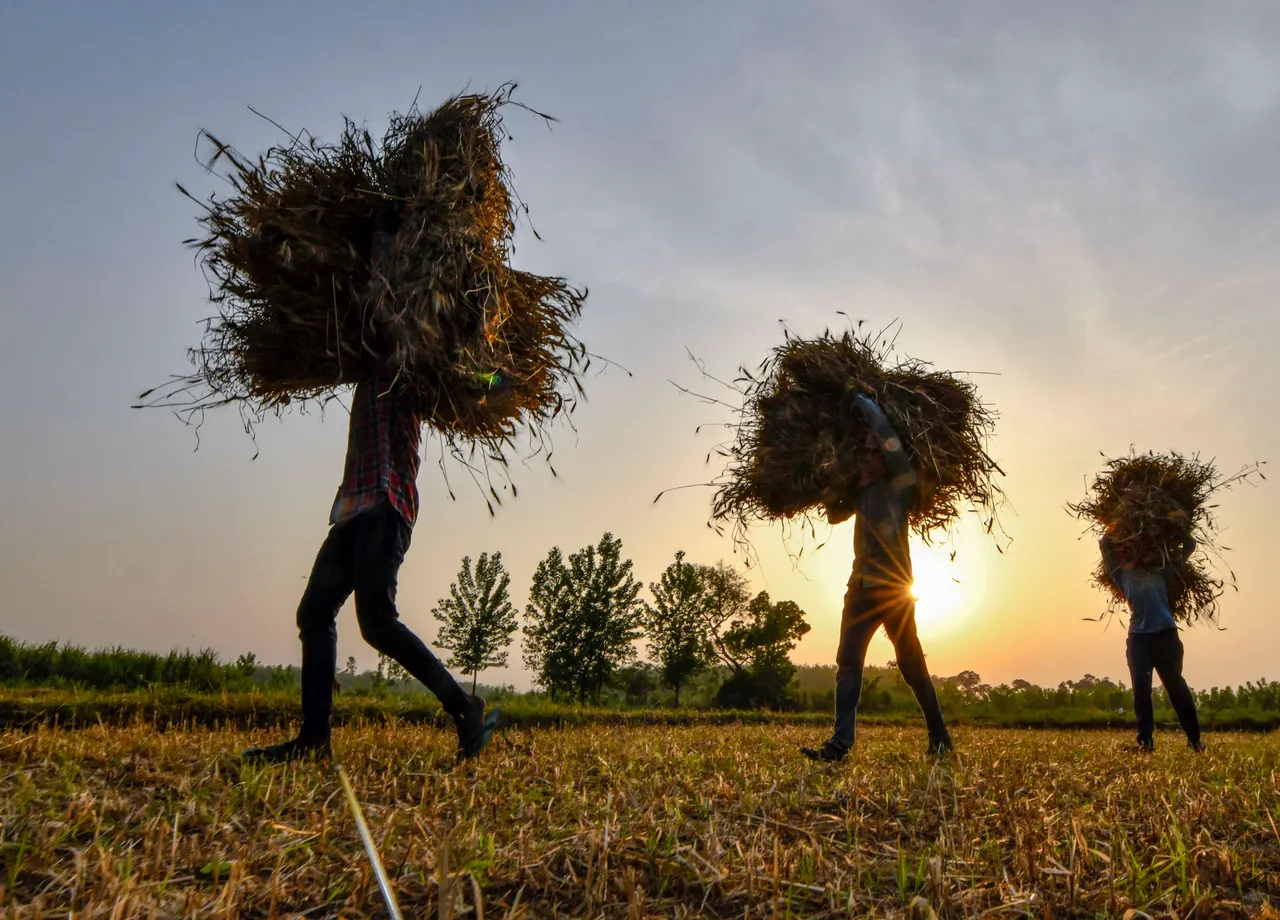 Budget Agriculture Farmers