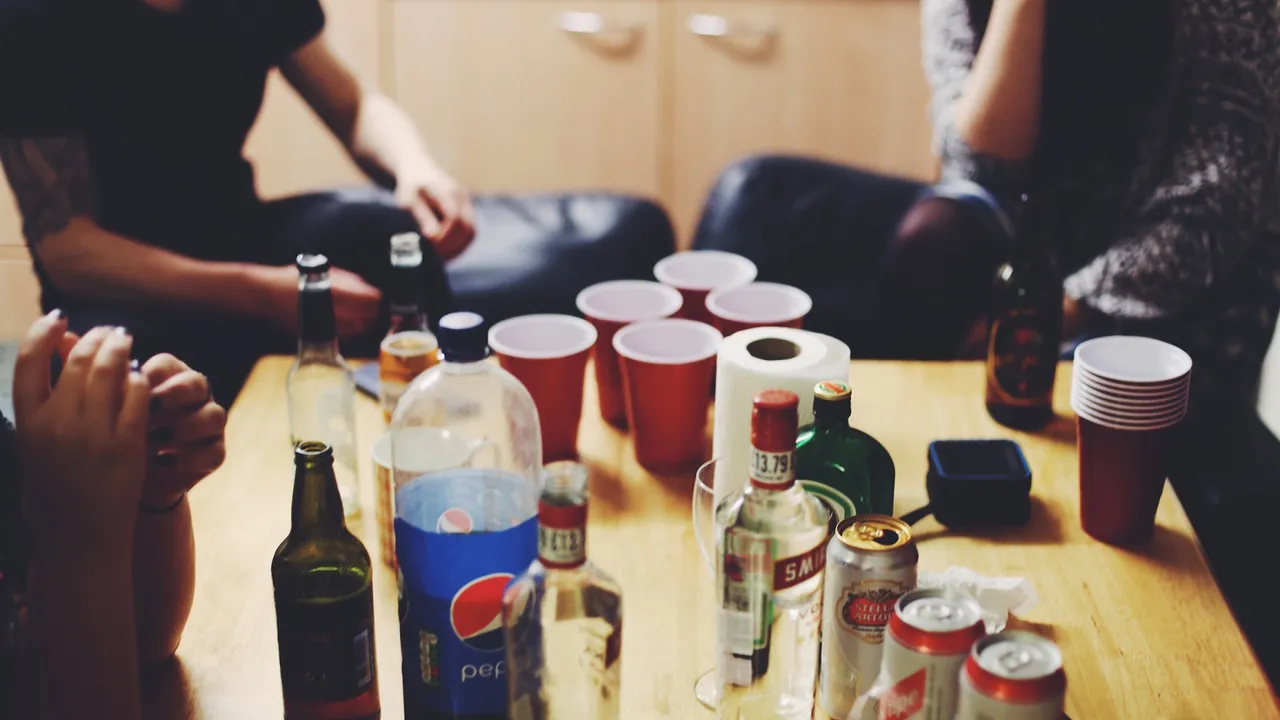 House party drinks alcohol