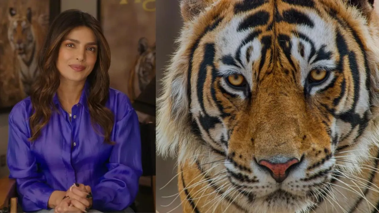 Priyanka Chopra Jonas tiger