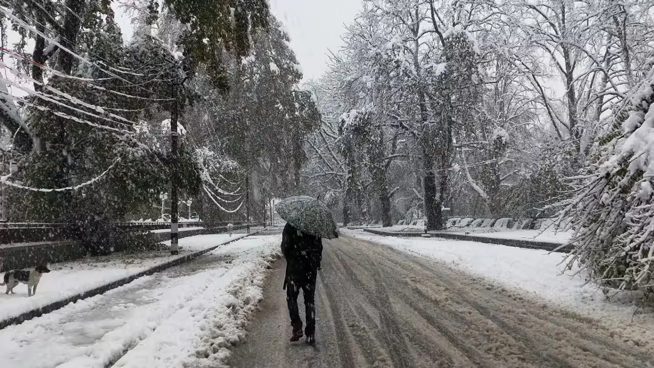 Kashmir snow snowfall