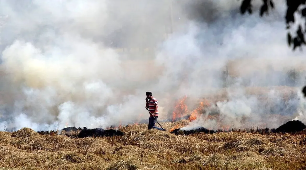 Punjab Farmer Stubble Burning.jpg
