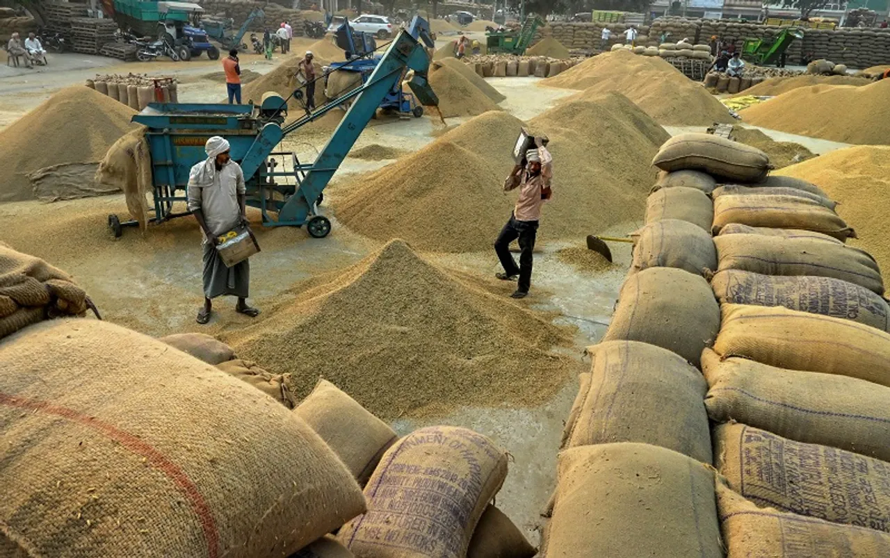 Paddy Farmer Export