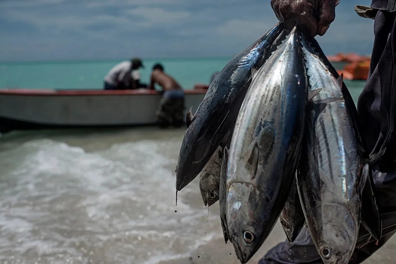 CMFRI launches awareness campaign on climate change among fishing communities
