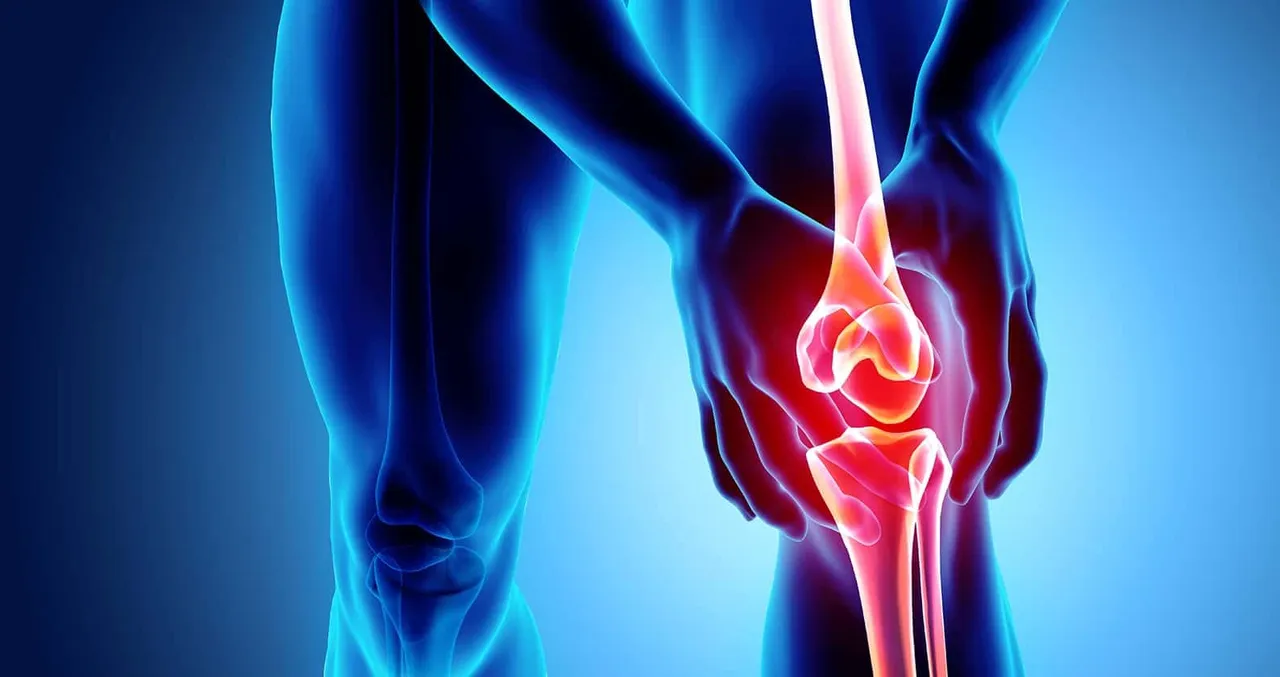 IIT-G develops deep learning-based framework to assess knee OA severity from X-ray images