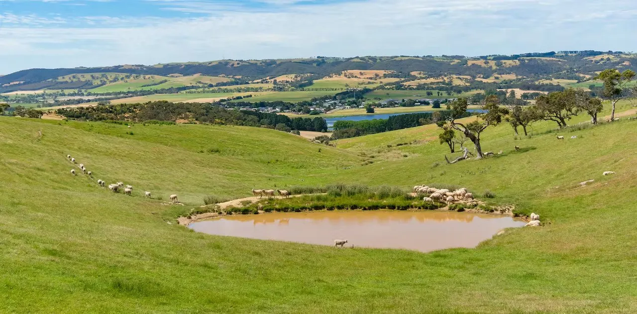 Farmers are famously self-reliant. Why not use farm dams as mini-hydro plants?