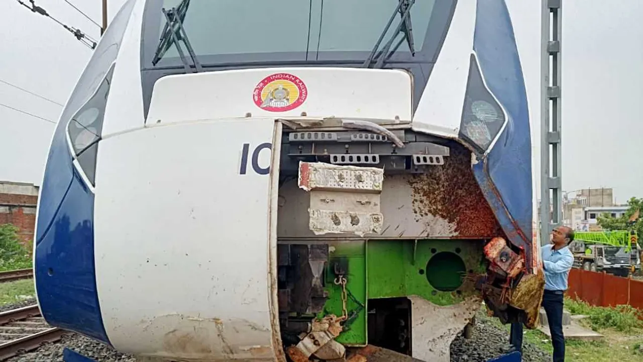train accident animal human conflict.jpg