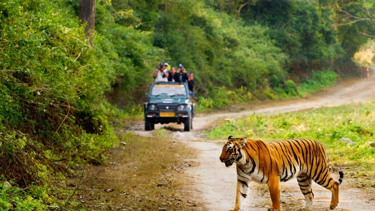 Bijrani and Garjiya zones of Corbett Tiger Reserve open for tourists