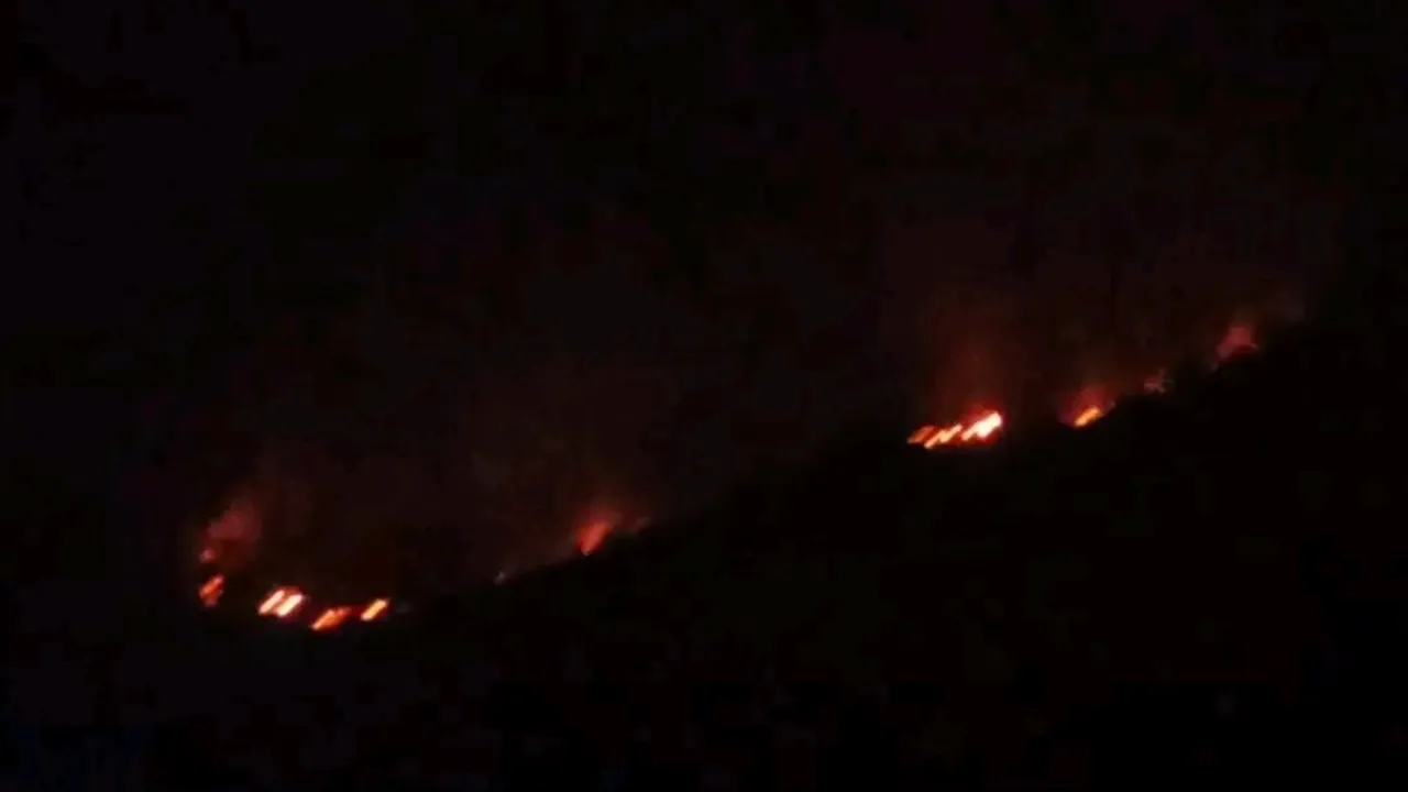 Kashmir forest fire