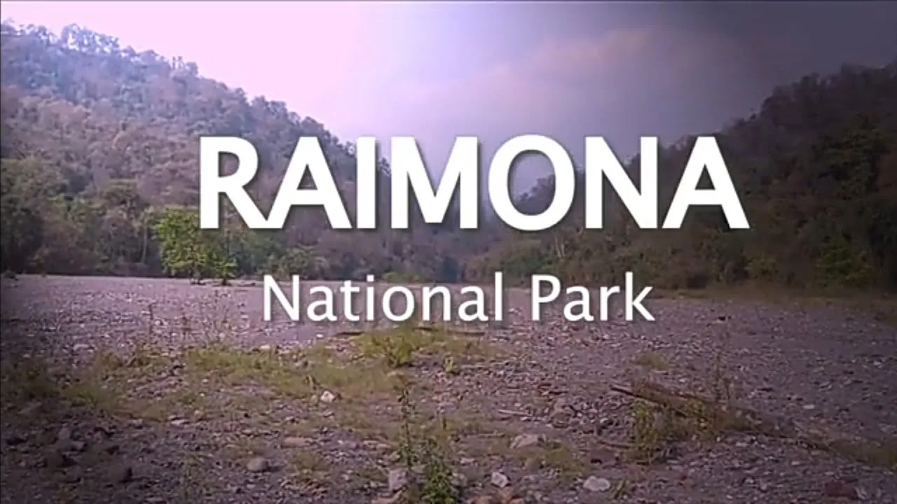 Planned conservation strategy key to restore Raimona National Park's lost glory
