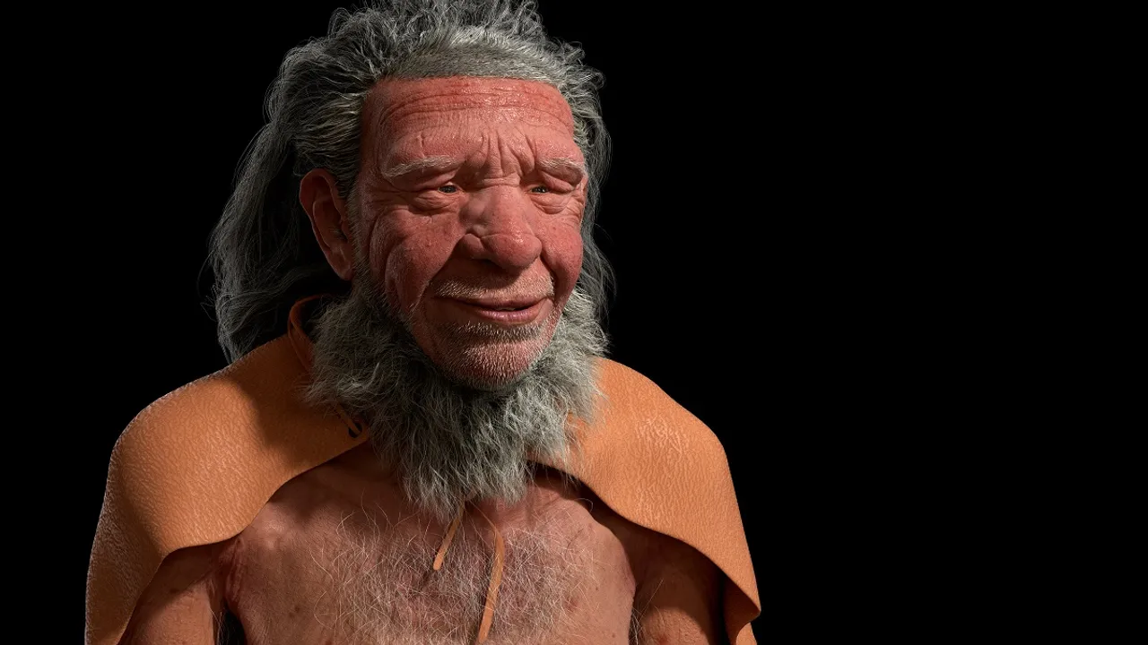 Why did modern humans replace the Neanderthals? The key might lie in our social structures