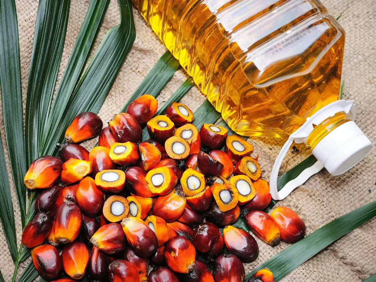 India's palm oil imports rise 29% in Nov-Sept of 2022-23 oil year: SEA