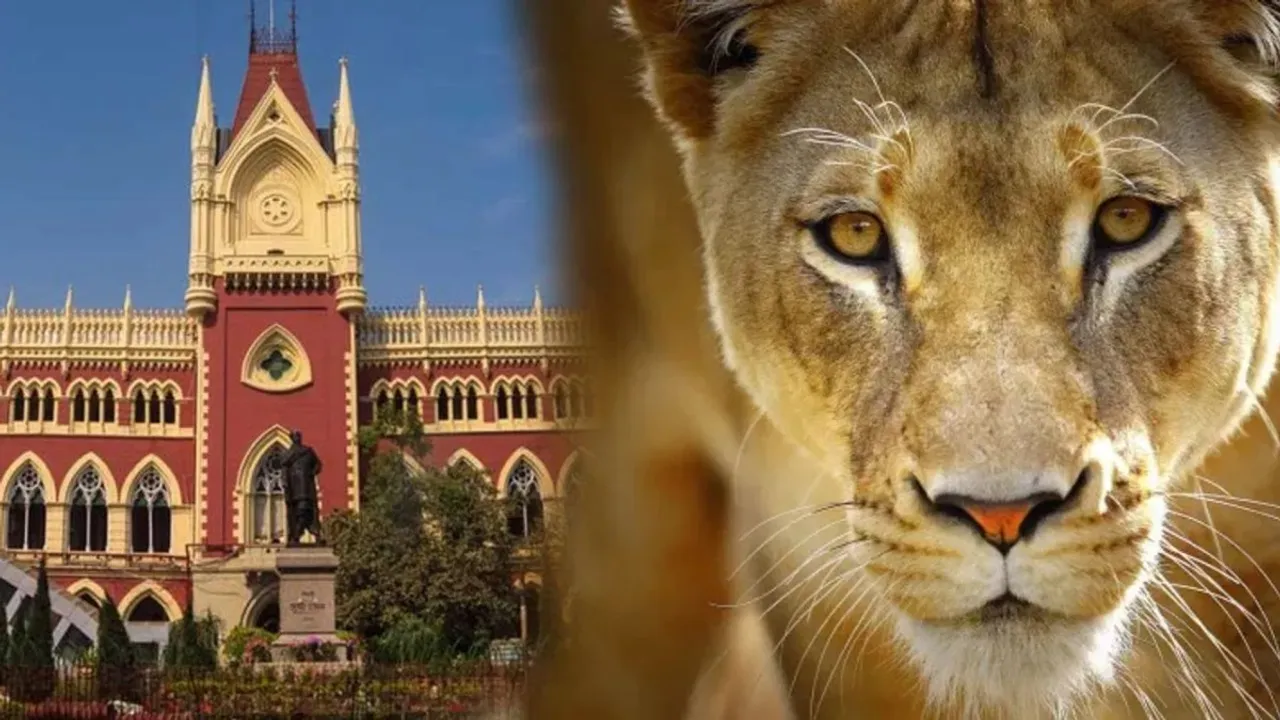 Naming lioness, lion as 'Sita' and 'Akbar' should have been shunned, Cal HC verbally observes