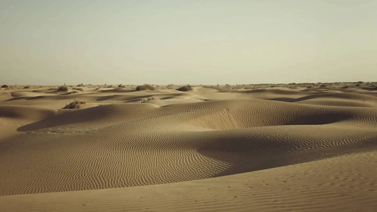 Sam Sand Dunes
