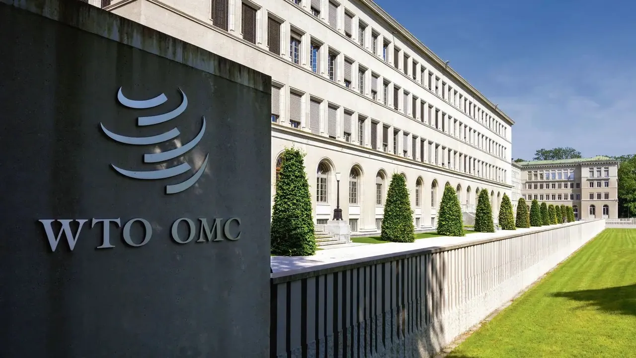 India calls for initiating formal talks on WTO's dispute settlement body reforms