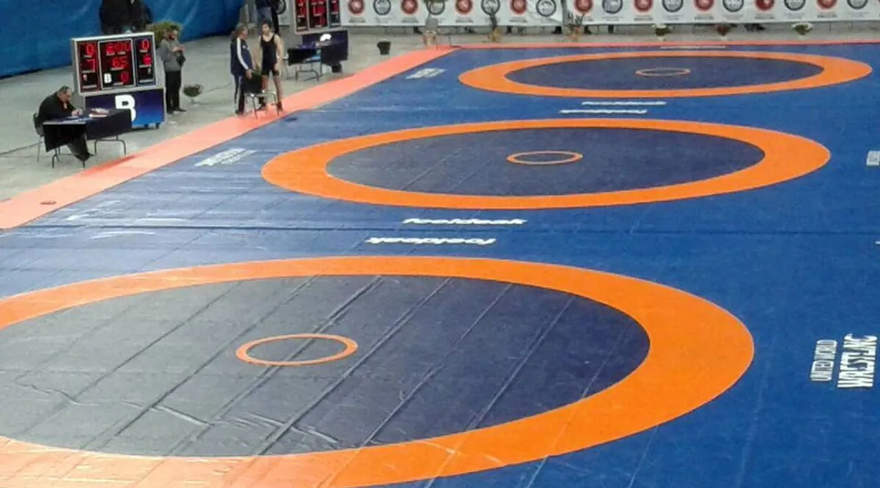 Wrestling Nationals in Jaipur from February 2-5, says WFI ad-hoc panel