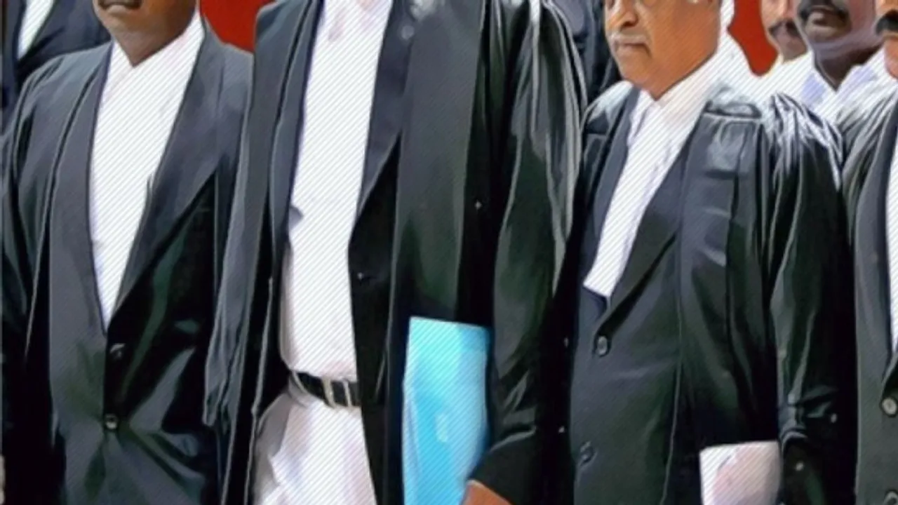 Advocate gown