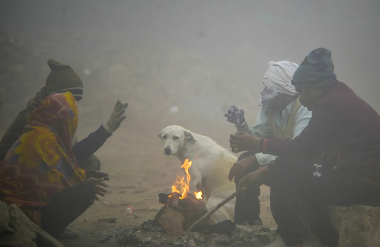 Weather Fog Gurugram Delhi Winter Cold Wave