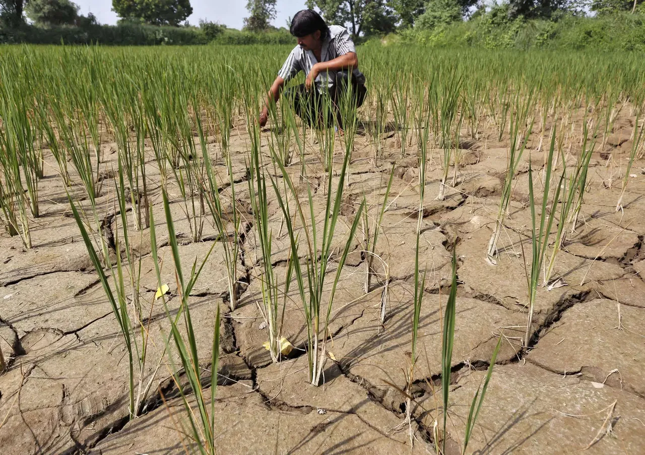 El Nino: What happens when things get too hot to handle?