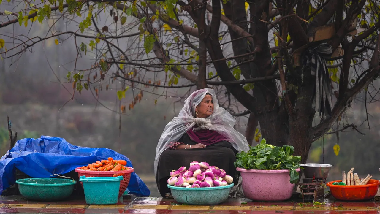 A roadside vegetable vendor covers herself with a plastic sheet during rainfall, in Srinagar