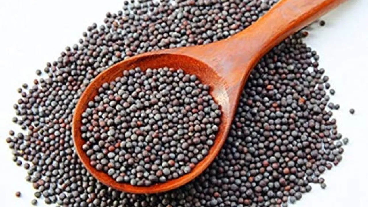 SEA seeks govt intervention as mustard seeds prices rule below MSP
